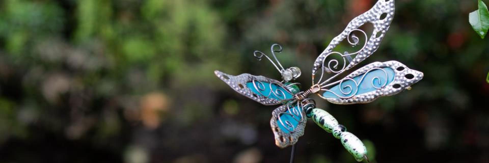 Symbolbild Schmetterling